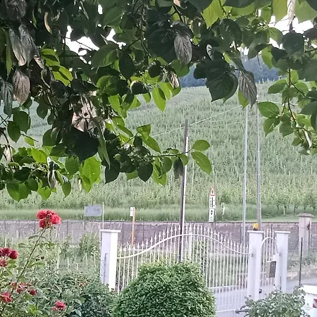Al Civico 20 L'impero Del Sole! Barolo